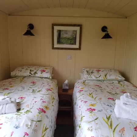 Rhydydefaid Cwt Clyd - Cosy Hut Villa Bala Exterior photo