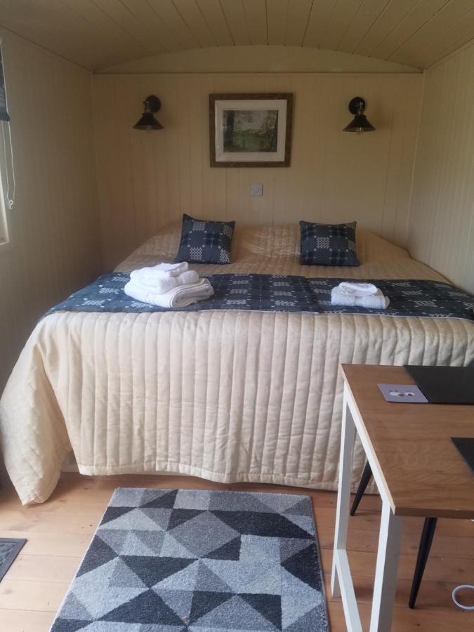 Rhydydefaid Cwt Clyd - Cosy Hut Villa Bala Exterior photo