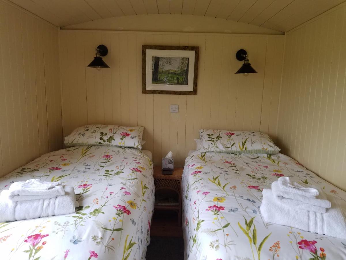 Rhydydefaid Cwt Clyd - Cosy Hut Villa Bala Exterior photo